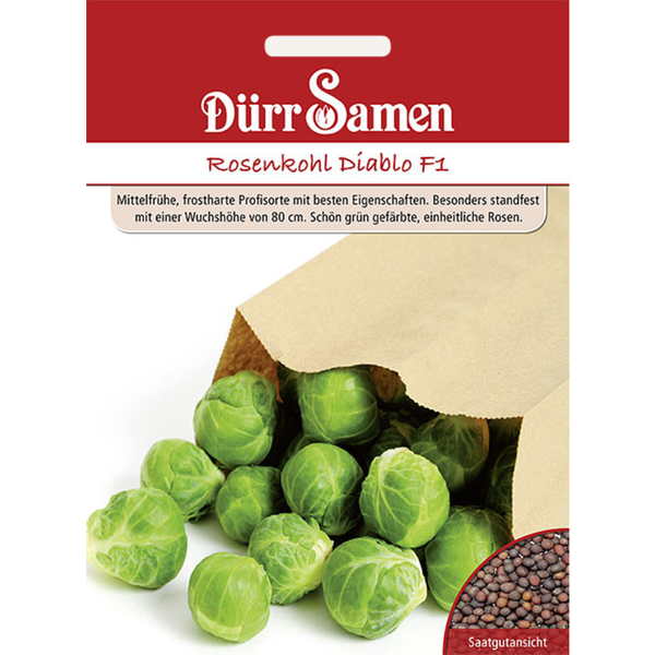 Rosenkohl Diablo F1 Saatgut von Dürr Samen