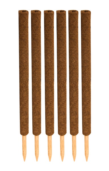 BigDean 6er Set Pflanzstäbe Kokos 80 cm - Monstera Rankhilfe Rankstäbe Stab Moosstäbe Pflanzenstäbe Kokosstäbe für Pflanzen - aus natürlicher Kokosfaser - verlängerbar