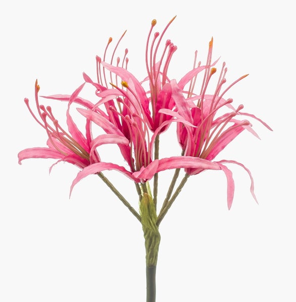 Künstliche Nerine Blume in Rosa mit grünem Stiel und langen Staubblättern für die Dekoration.