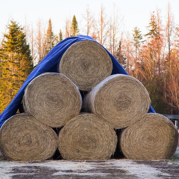 ECD Germany Abdeckplane Gewebeplane mit Ösen 6x10m 60m² 260g/m² Blau aus Polyethylen Schimmelresistent Wasserdicht Reißfest Schutzplane Bootsplane Gartenplane Holzplane Plane für Gartenmöbel Pool Auto