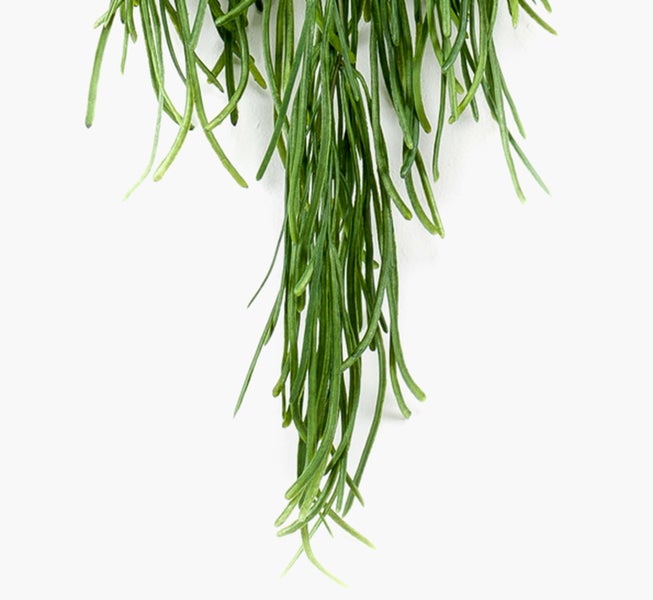 Künstlicher Efeuzweig mit grünen Blättern unterschiedlicher Größe an einer Ranke.