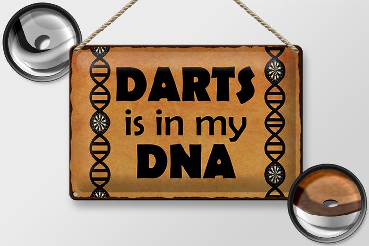 Blechschild Spruch 30x20cm Darts is in my DANN