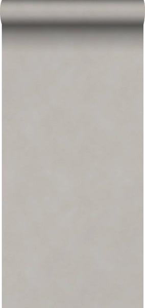 Sanders und Sanders Tapete Uni Taupe - 53 cm x 10.05 m - 935209