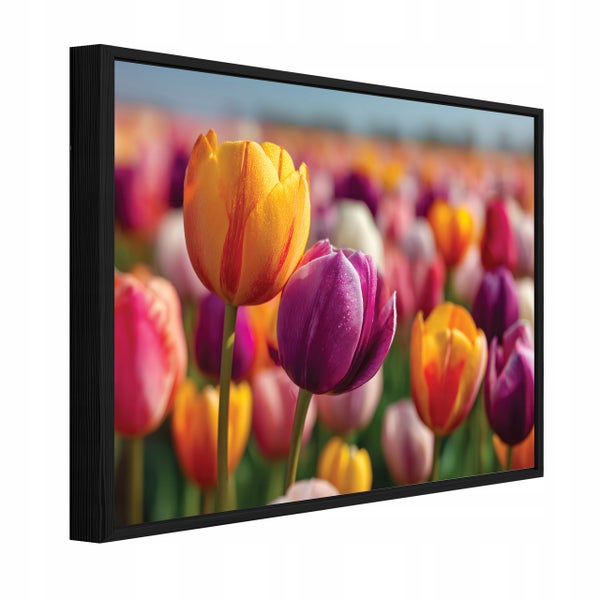 Wandbild mit Motiv farbenfroher Tulpen auf einem Feld und schwarzem Holzrahmen.