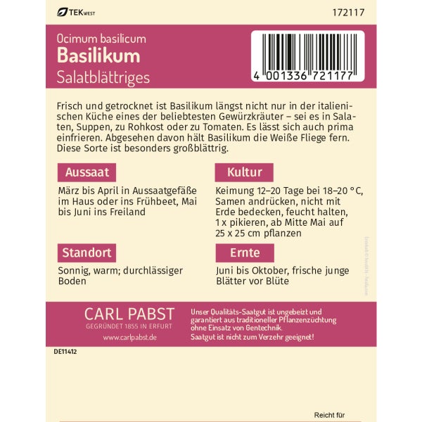 Basilikum salatblättrig & aromatisch Samen von Pabst Keimkraft