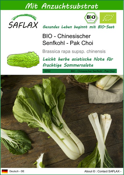 SAFLAX  - BIO - Chinesischer Senfkohl - Pak Choi - Brassica rapa supsp. chinensis - 300 Samen - Mit keimfreiem Anzuchtsubstrat