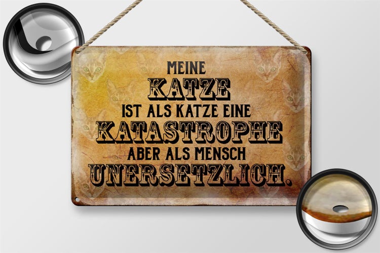 Blechschild Spruch 30x20cm meine Katze ist eine Katastrophe