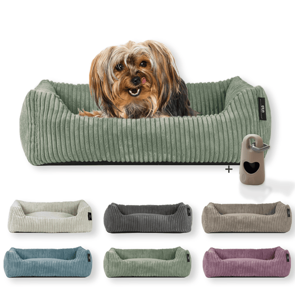 Rohrschneider Tierbett Cordstoff breit Gr. 1 salbei + faltbarer Reisenapf