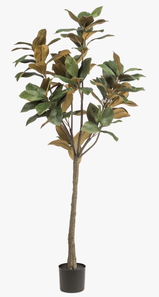Nahaufnahme einer künstlichen Magnolie mit grünen und braunen Blättern sowie braunen Zweigen.