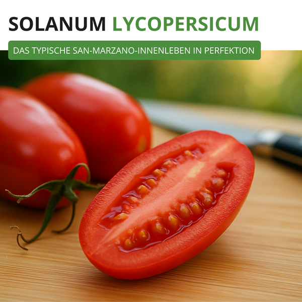 Rote San Marzano Tomaten, ganz und längs aufgeschnitten auf einem Holzbrett.