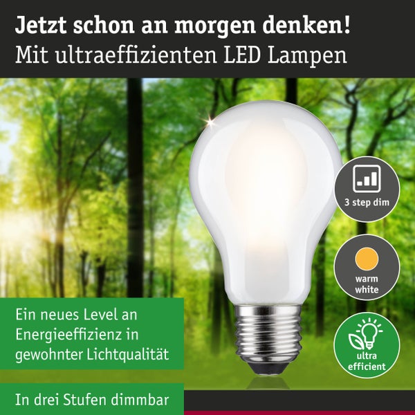 Ultraeffiziente LED-Lampe, warmweiß, in drei Stufen dimmbar, dargestellt vor einem Waldhintergrund.