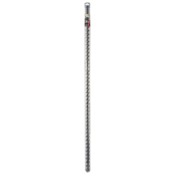 Holzbohrer in transparenter Verpackung