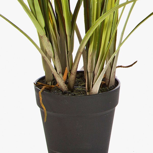 Künstliche Orchidee Phalaenopsis mit weißen Blüten, grünen Blättern und Luftwurzeln.