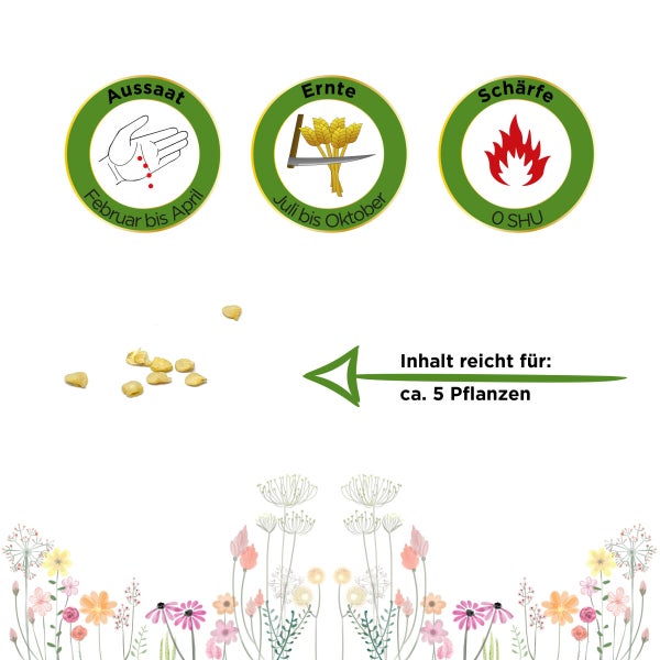 Chili Tabasco Peperoni Etna Samen von Deine Gartenwelt