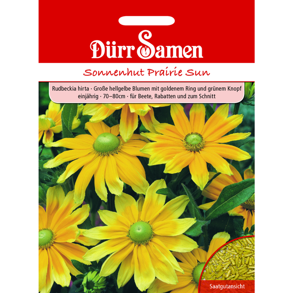 Sonnenhut Prairie Sun hellgelbe Blüten einjährig Saatgut von Dürr Samen