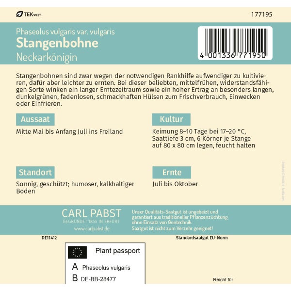 Stangenbohne dickfleischig & ertragreich Neckarkönigin Samen von Pabst Keimkraft