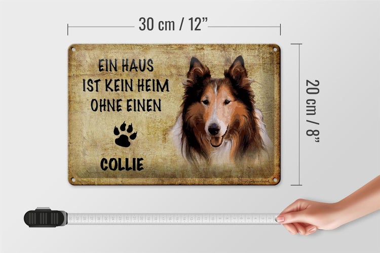 Blechschild Spruch 30x20cm Collie Hund ohne kein Heim