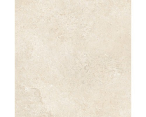 Wand- und Bodenfliese Apulia ivory 40,6x40,6 cm