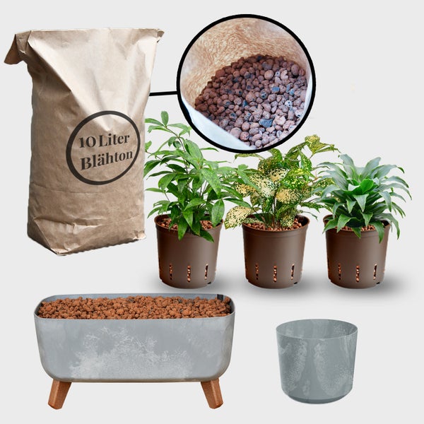 Blähton-Set mit Pflanzen und Übertöpfen sowie einem Sack mit 10 Liter Blähton