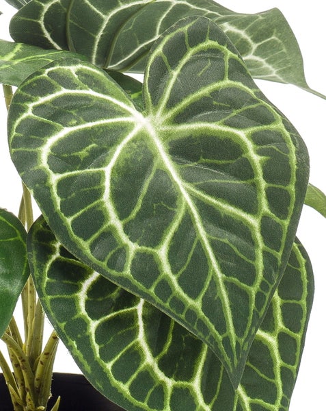Künstliche Pflanze mit herzförmigen Blättern und ausgeprägten Blattadern im schwarzen Topf