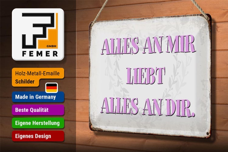 Blechschild Spruch 30x20cm alles an mir liebt alles an dir