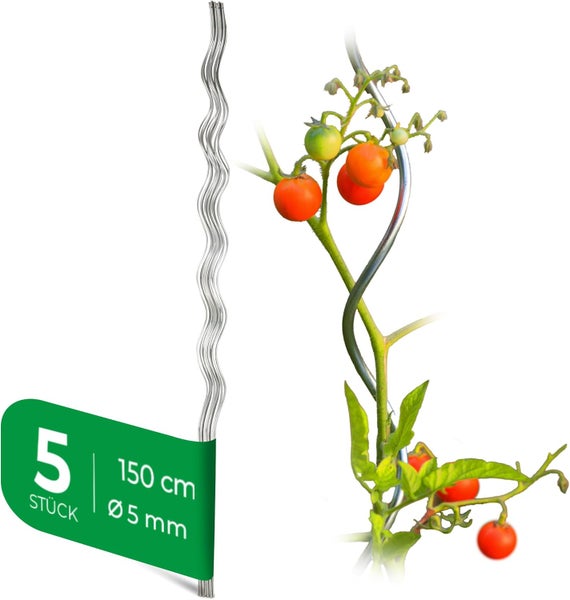 5er-Set Tomatenspiralstäbe aus Metall, Länge 150 Zentimeter, Durchmesser 5 Millimeter, mit Anwendungsbeispiel einer Tomatenpflanze.