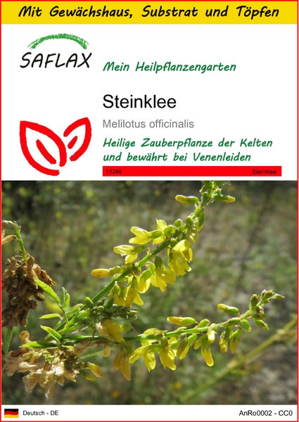 SAFLAX Anzucht Set - Steinklee - Melilotus officinalis - 250 Samen - Mit Mini-Gewächshaus, Anzuchtsubstrat und 2 Töpfen