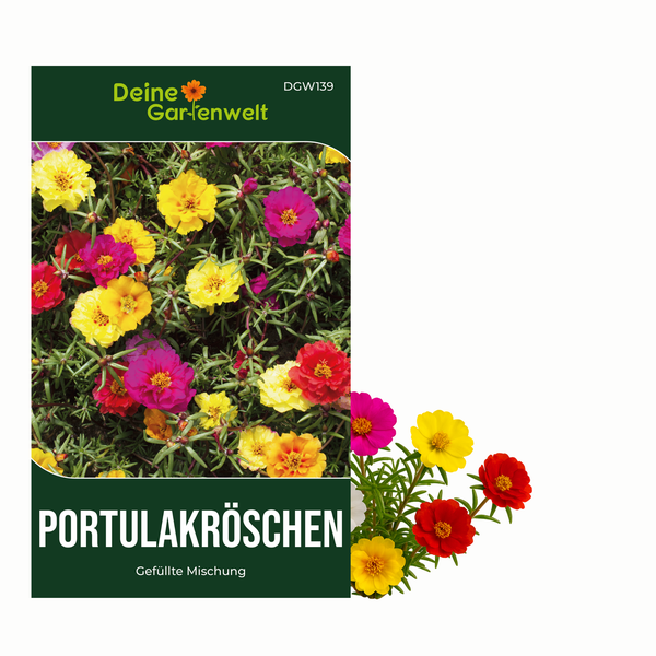 Portulakröschen Samenpackung