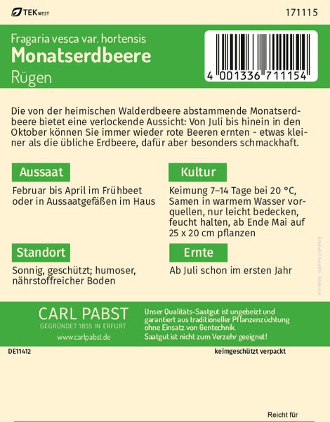 Rückseite der Carl Pabst Saatgutpackung für Monatserdbeere Rügen mit Anbauhinweisen, TEKWEST Logo, Carl Pabst Logo.