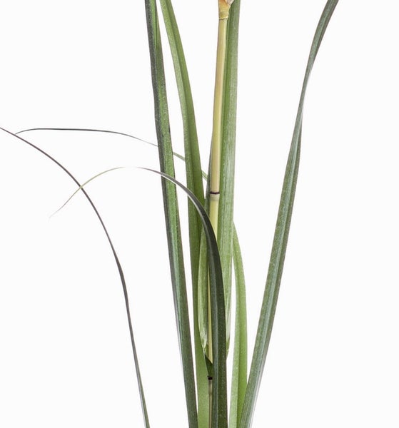 Detailansicht von künstlichem Gras mit schmalen grünen Blättern und einem Halm.