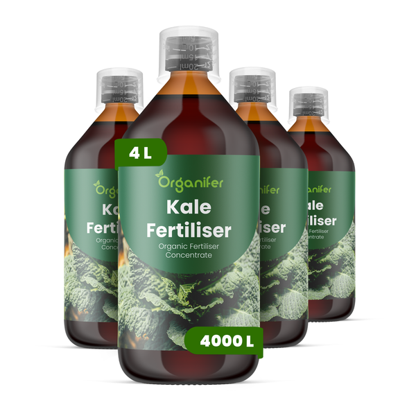 Zwei Flaschen Organifer Bio-Lilien-Dünger-Konzentrat, je 2 Liter, für 2000 Liter Düngerlösung.
