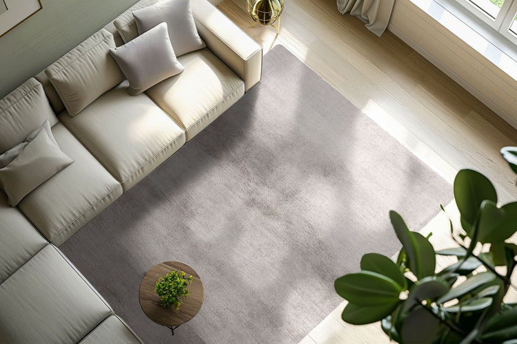 Ein moderner Wohnbereich in Draufsicht mit einem großen rechteckigen Teppich, einem Sofa mit Kissen, einem kleinen Beistelltisch und einer Pflanze.