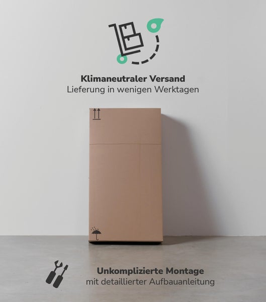 Paket mit Symbolen für klimaneutralen Versand, kurze Lieferzeit, Schutz vor Feuchtigkeit und einfacher Montage