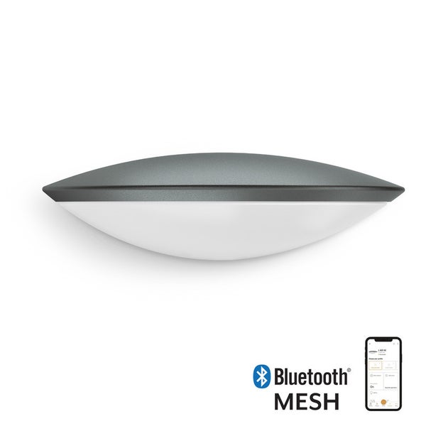 Ovale Wandleuchte mit anthrazitfarbenem Gehäuse, weißem Diffusor, Bluetooth Mesh Logo und Smartphone zur Steuerung per Applikation.