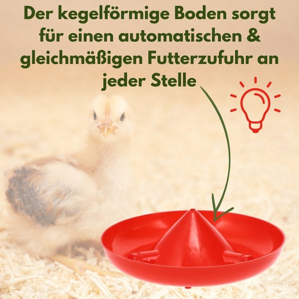 Kükenfutterautomat mit kegelförmigem Boden für eine gleichmäßige Futterverteilung.