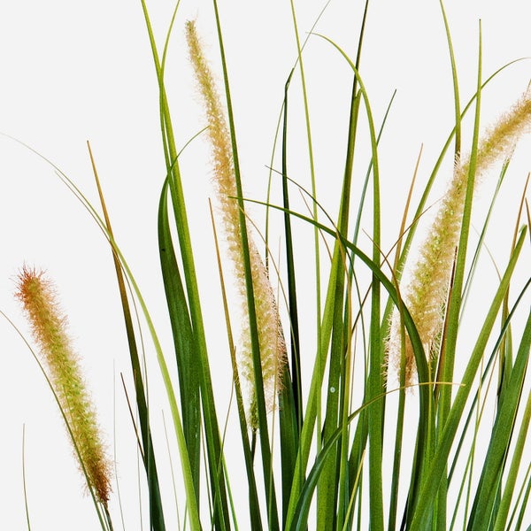 Künstliches Ziergras mit langen grünen Halmen und hellen, flauschigen Blütenähren für die Innendekoration.