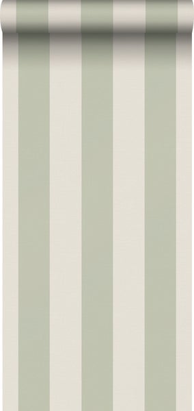Sanders und Sanders Tapete Streifen Grün und Beige - 53 cm x 10.05 m - 640689