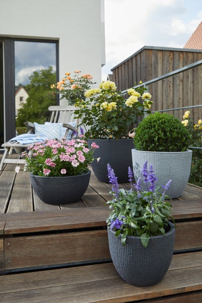 Moderne runde Pflanzgefäße mit strukturierter Oberfläche auf einer Holzterrasse mit verschiedenen Blumen und Pflanzen arrangiert.