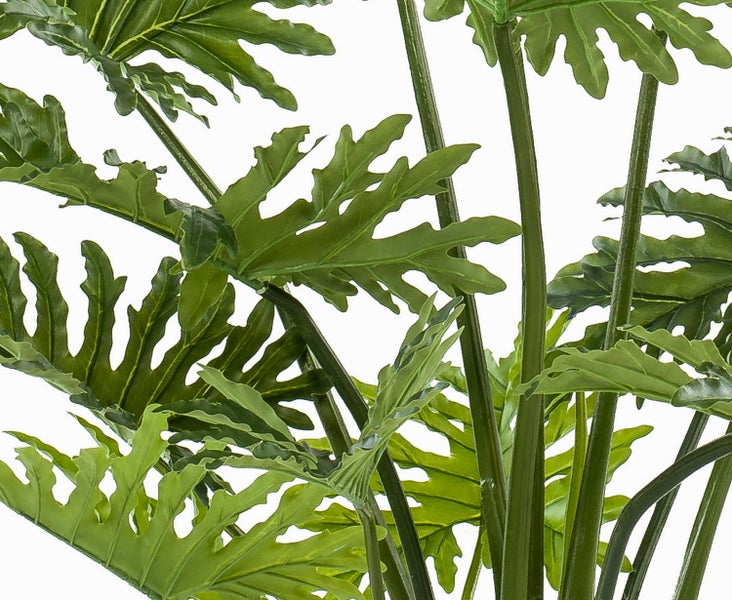 Detailansicht der Blätter einer künstlichen Philodendron Pflanze mit tiefen Einschnitten.