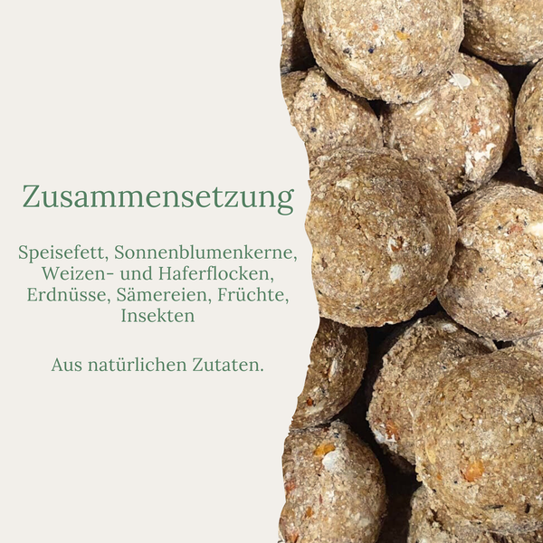 Zusammensetzung aus Speisefett, Sonnenblumenkernen, Weizen- und Haferflocken, Erdnüssen, Sämereien, Früchten und Insekten für Vogelfutter.