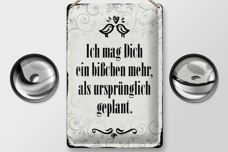 Blechschild Spruch 20x30cm ich mag dich ein bißchen mehr