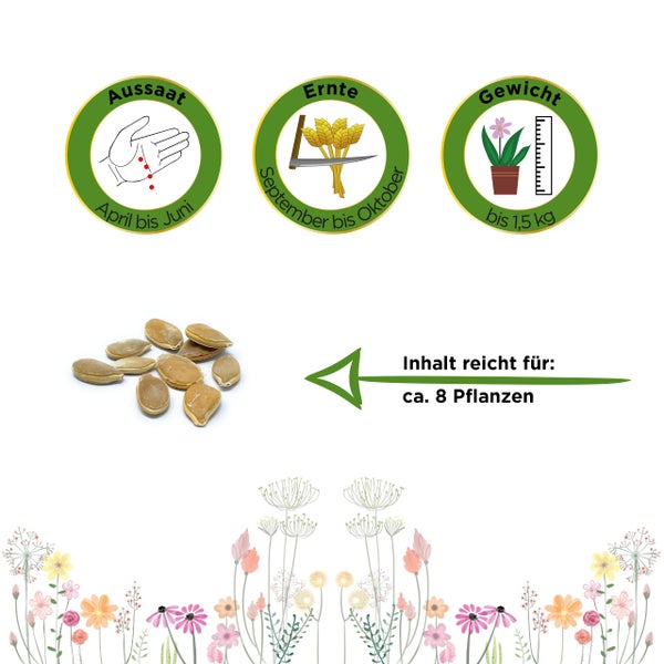 Aussaat von April bis Juni, Ernte von September bis Oktober, Gewicht bis 1,5 Kilogramm, Inhalt reicht für circa 8 Pflanzen, Kürbissamen.