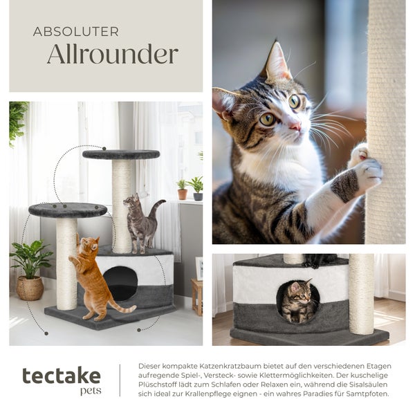 Katzenkratzbaum mit Katzen