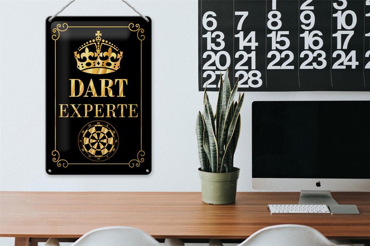 Blechschild Spruch 20x30cm Dart Experte Krone