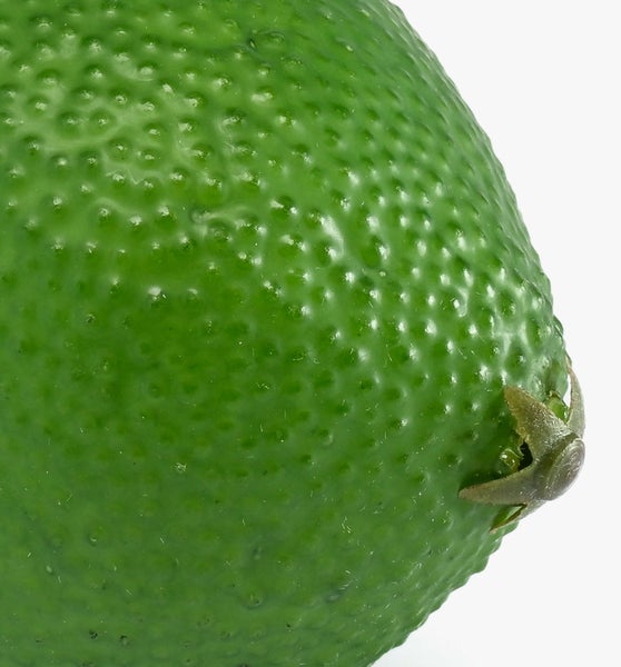 Nahaufnahme einer grünen Limette mit strukturierter Schale.