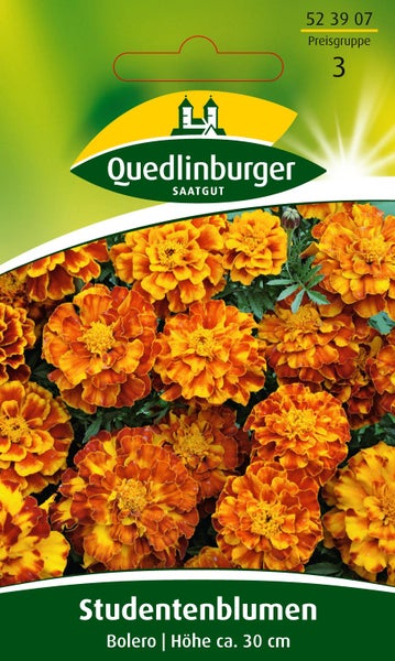 Studentenblumen Bolero Samen von Quedlinburger SAATGUT