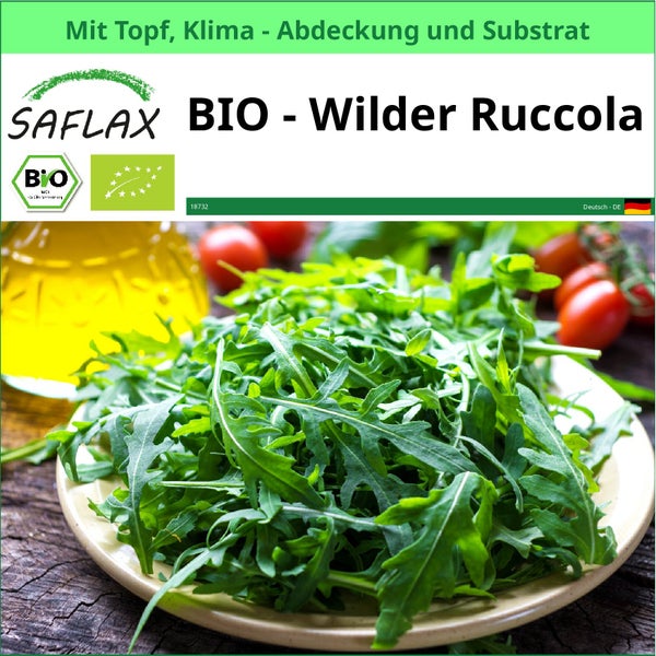 Saflax Bio Wilder Rucola mit Topf, Klimaabdeckung und Substrat