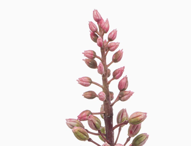 Künstlicher Blütenzweig mit rosa sternförmigen Blüten und Knospen an einem braunen Stiel.