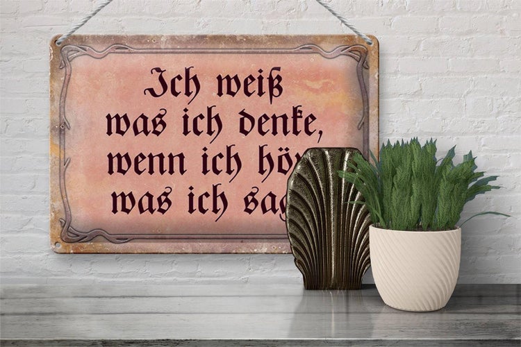 Blechschild Spruch 30x20cm ich weiß was ich denke wenn