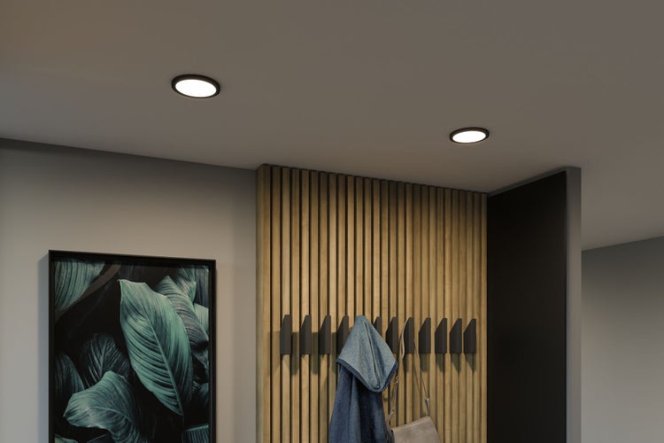 Moderne Flurgestaltung mit zwei runden LED Einbaustrahlern an der Decke und einer Wand aus Holzlamellen mit Garderobenhaken.